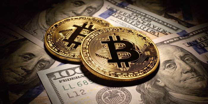 Crypto Portfolio #1